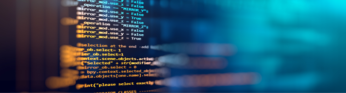 Sızma Testi Hedefleri ve Programı